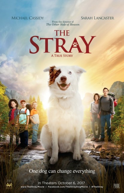 The Stray 2017 Türkçe Altyazı izle