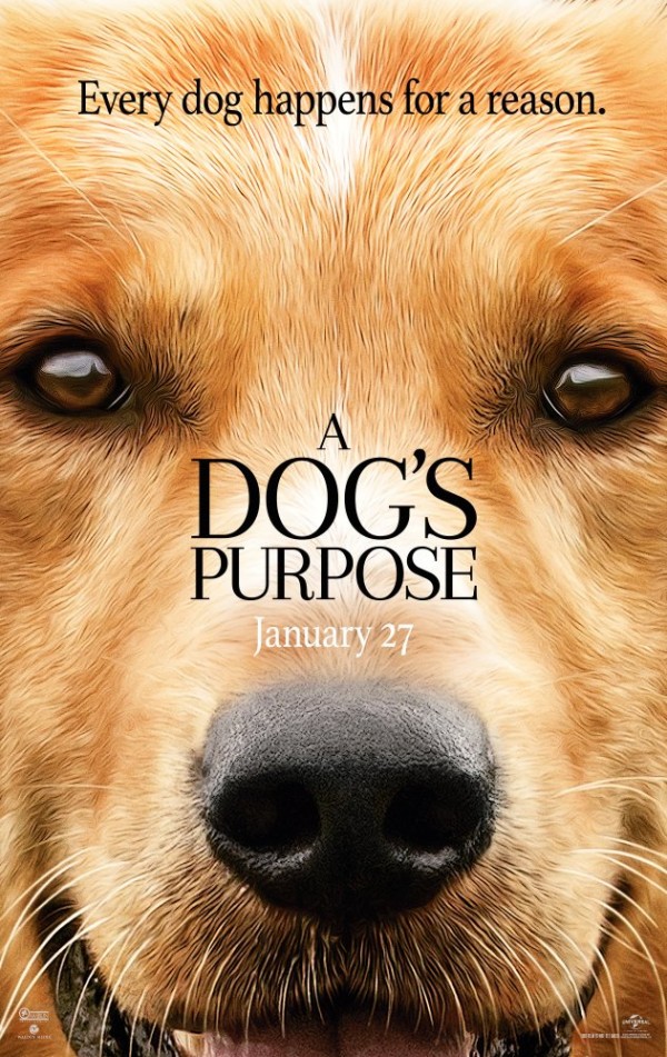Can Dostum – A Dog’s Purpose 2017 Türkçe Dublaj izle