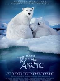Arctic Full Hd izle