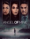 Gerçeğin Peşinde Full izle