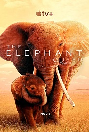 The Elephant Queen 1080p hd izle