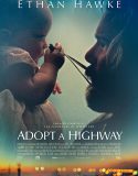 Adopt a Highway