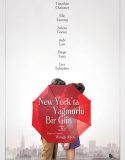 New York’ta Yağmurlu Bir Gün izle