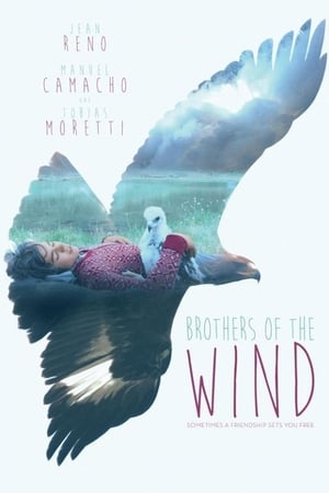 Rüzgar Kardeşler Filmi izle