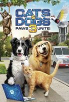 Kediler ve Köpekler 3: Pati Birliği Filmi izle