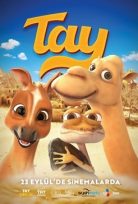 Tay (TRT ÇOCUK) izle