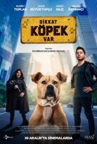 Dikkat Köpek Var
