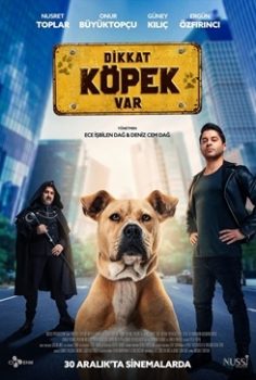 Dikkat Köpek Var