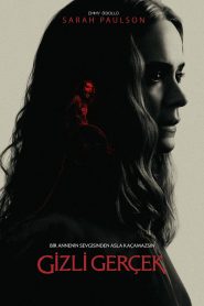 Gizli Geçek (Run)