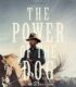 The Power of the Dog