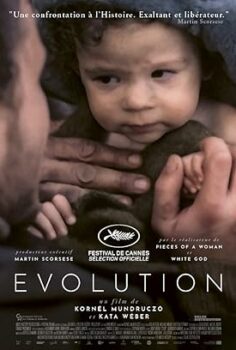 Evrim (evolution)