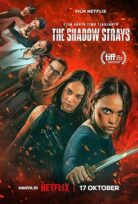 Asi 13 (The Shadow Strays)