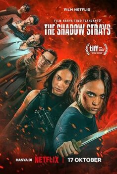 Asi 13 (The Shadow Strays)