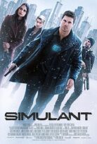 Simülasyon