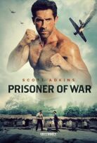 Prisoner Of War Savaş Esiri