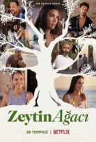 Zeytin Ağacı 3. Sezon