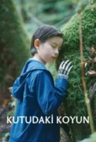 Kutudaki Koyun Sheep in the Box 2026