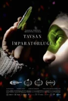 Tavşan İmparatorluğu 2024